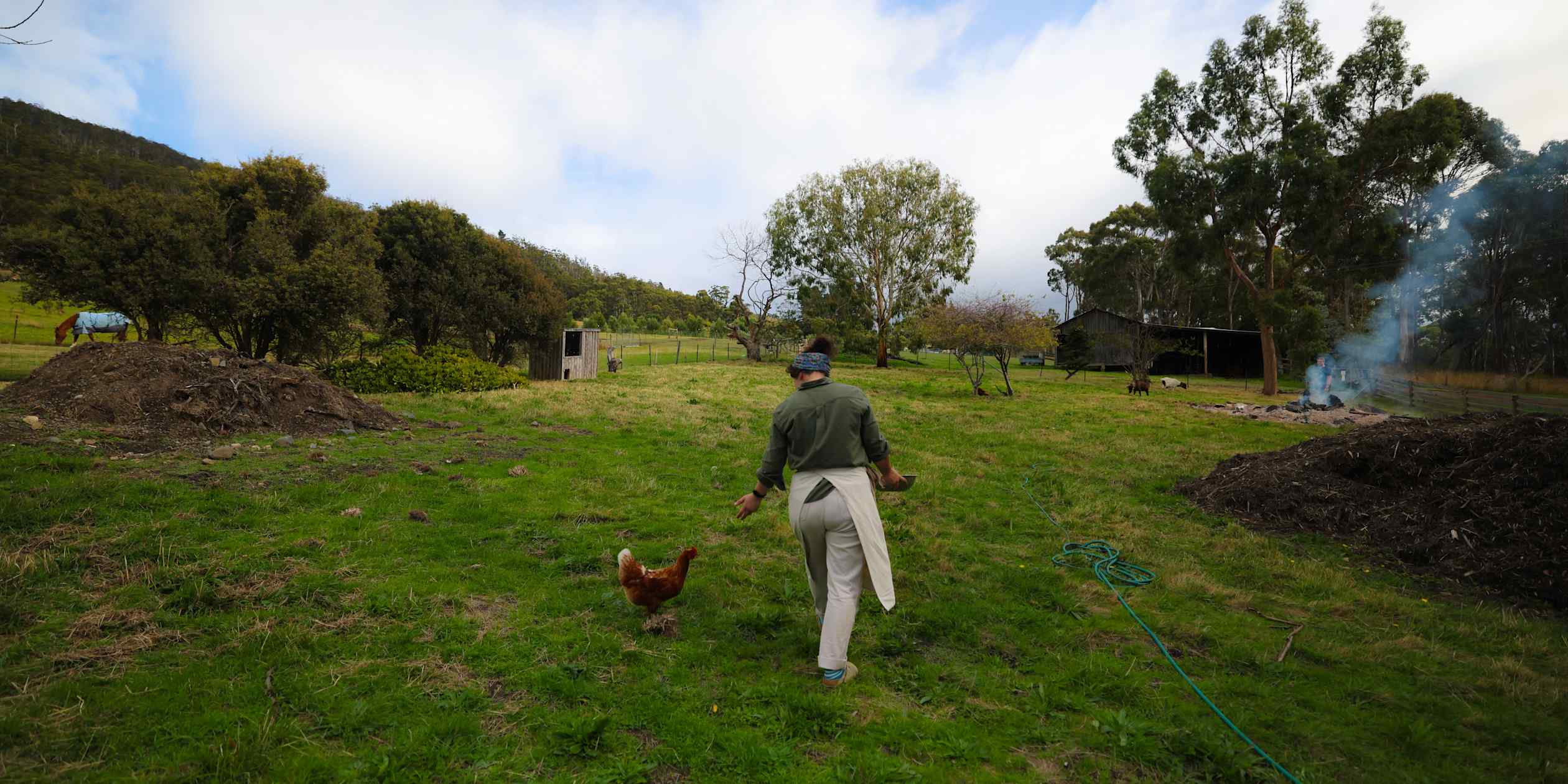 Chef Analiese Gregory di peternakan Tasmania dengan ayam dan kambing