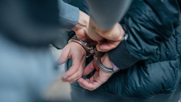 Tiga pelaku pembalakan liar Riau ditangkap, tindakan penegakan hukum